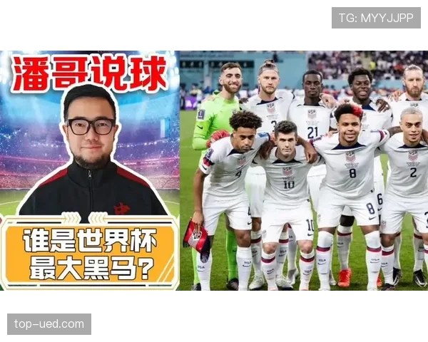 世界杯D组黑马球队明星球员盘点